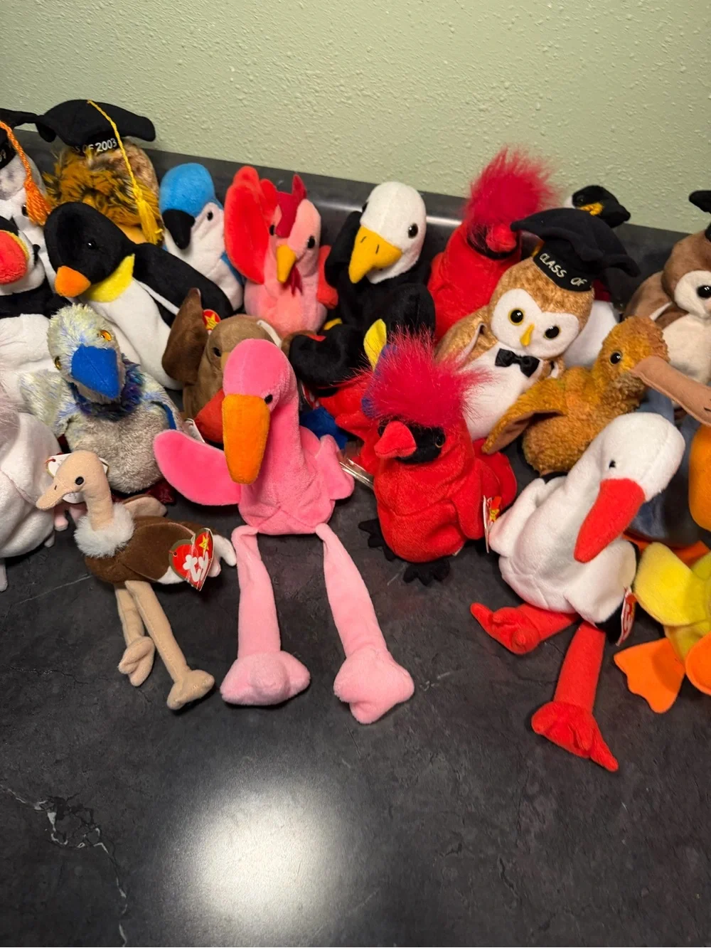 Ty Beanie Babies Bird and Graduation Owl Collection